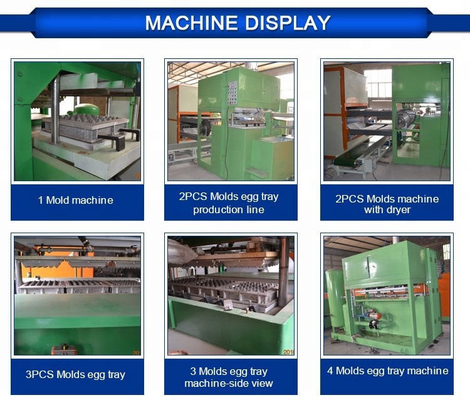 Ovo Tray Mould Pulp Tray Machine com armário do Plc 2 anos de garantia