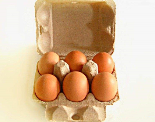 Populares personalizados 6 furos egg a linha de produção máquina da bandeja do ovo da caixa da caixa de ovo