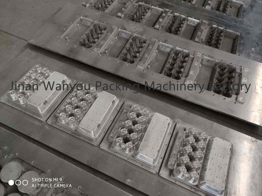3000pcs/hr forram a máquina da fatura de caixa do ovo equipamento da bandeja de papel com linha de secagem