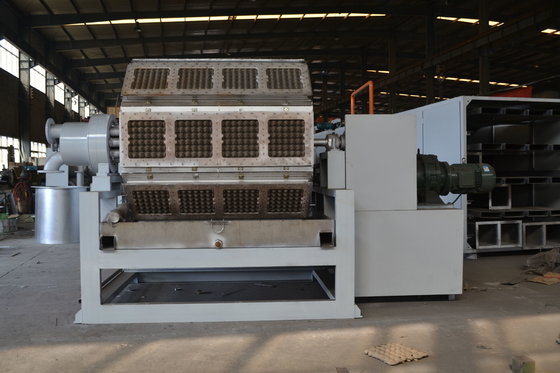 Capacidade de produção grande de Tray Machine 6000 giratórios de alta velocidade do ovo